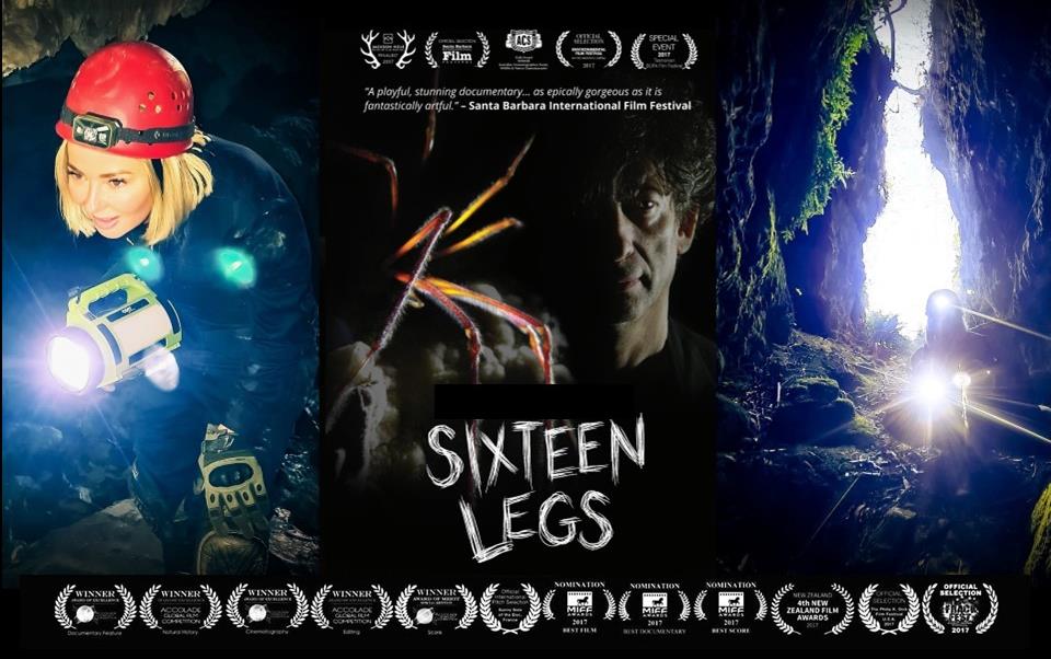 16 Legs Exhibition