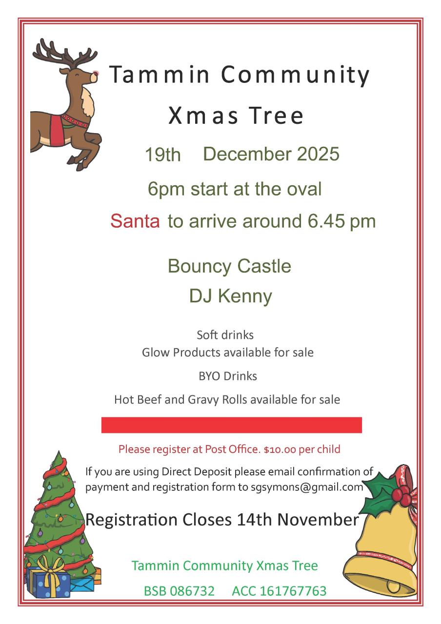 Tammin Community Christmas Tree